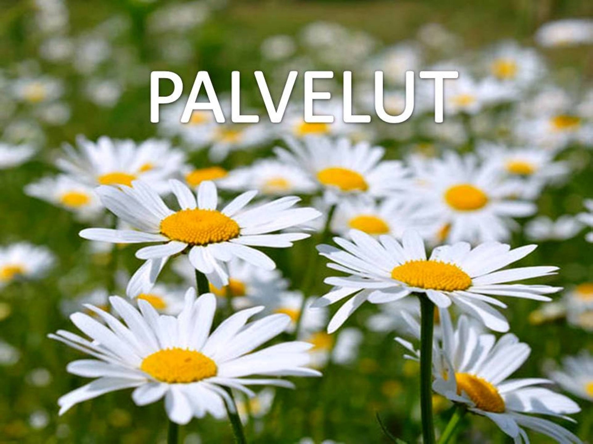 Lampinsaari lampinsaari
